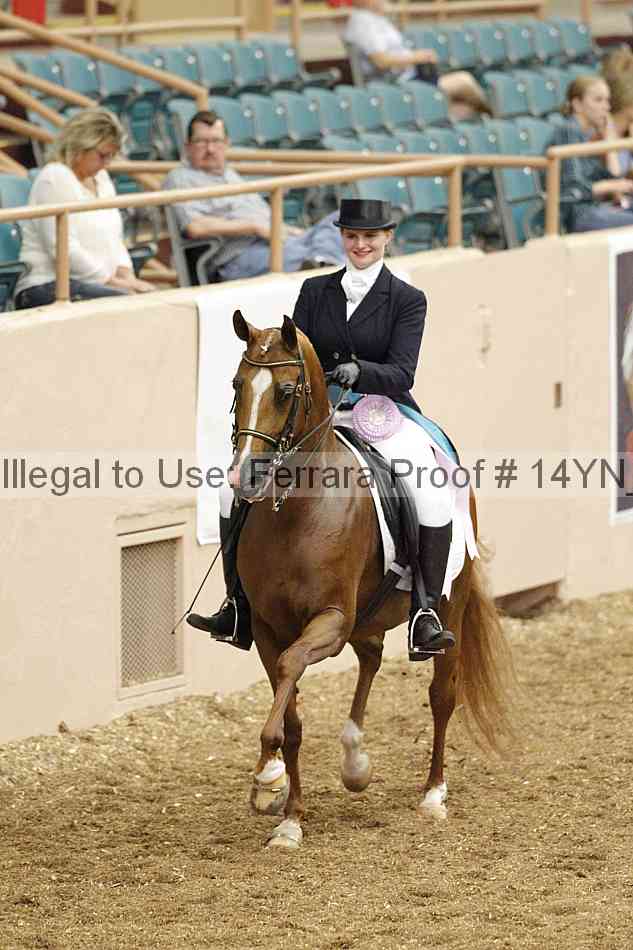 Proof 14yn_02234