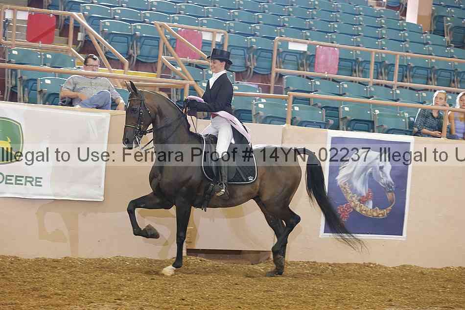 Proof 14yn_02237