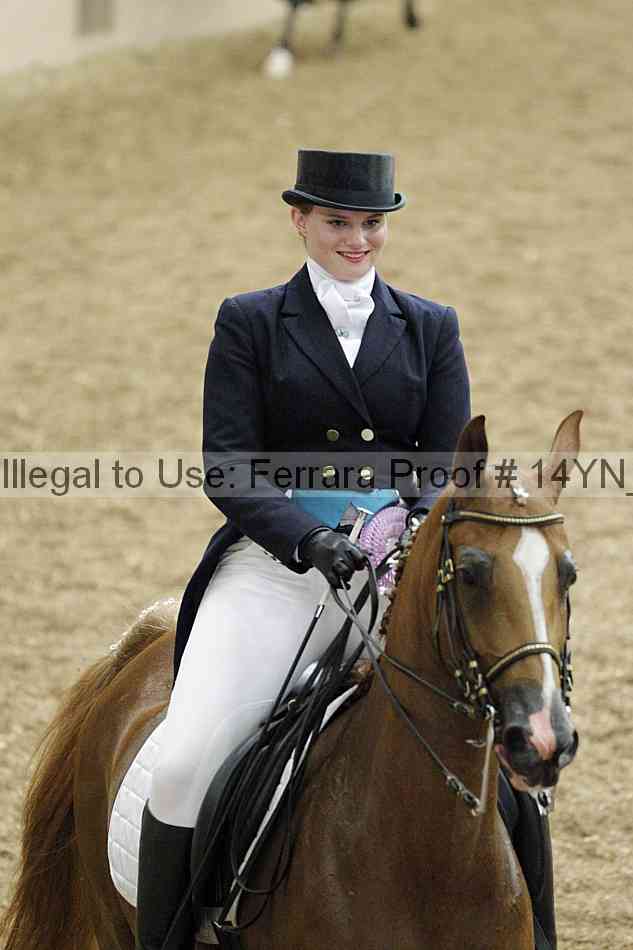 Proof 14yn_02238