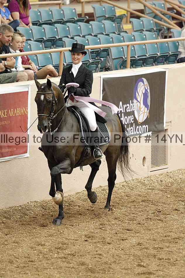 Proof 14yn_02239