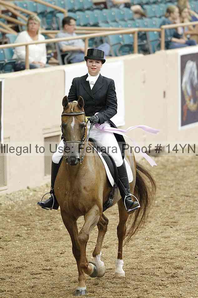 Proof 14yn_02243