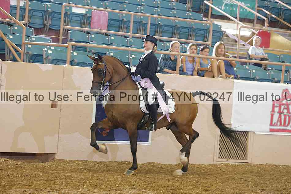 Proof 14yn_02247