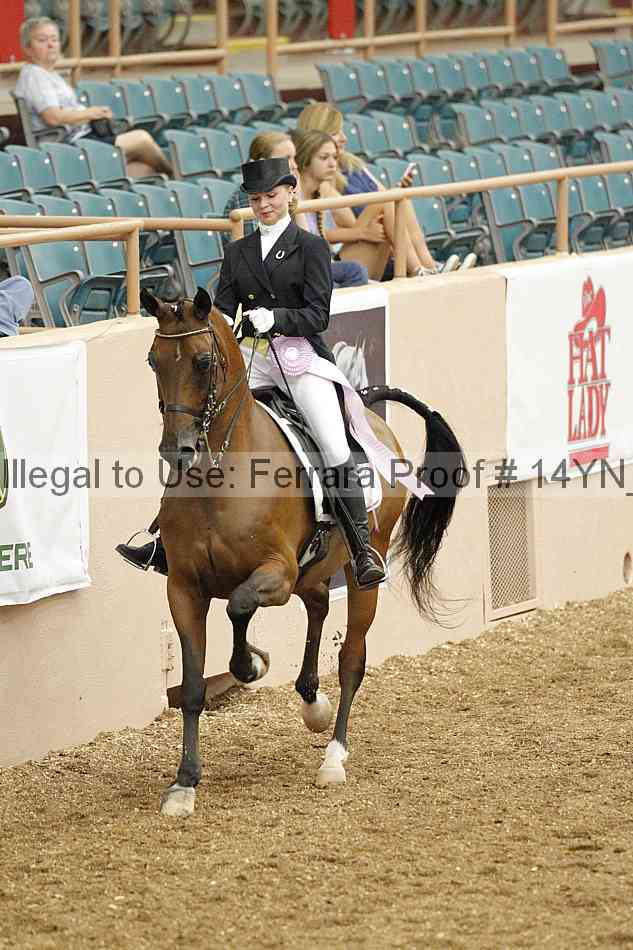 Proof 14yn_02249