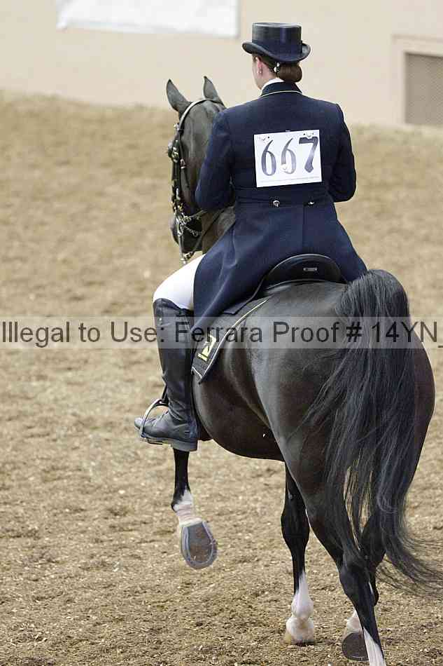 Proof 14yn_02256