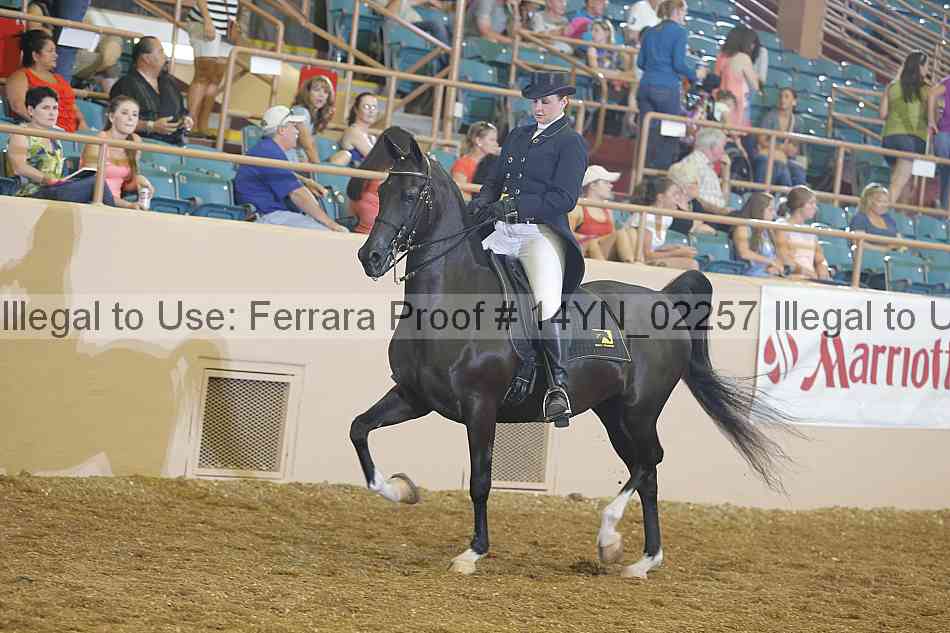 Proof 14yn_02257