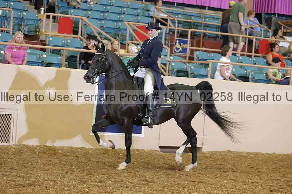 Proof 14yn_02258
