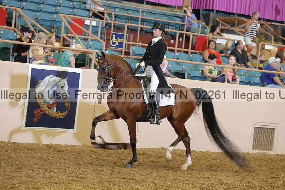 Proof 14yn_02261