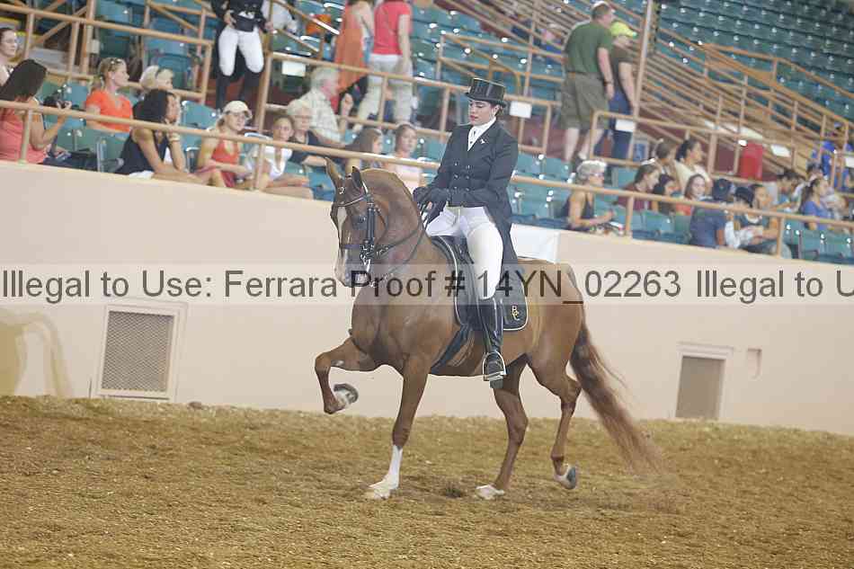 Proof 14yn_02263
