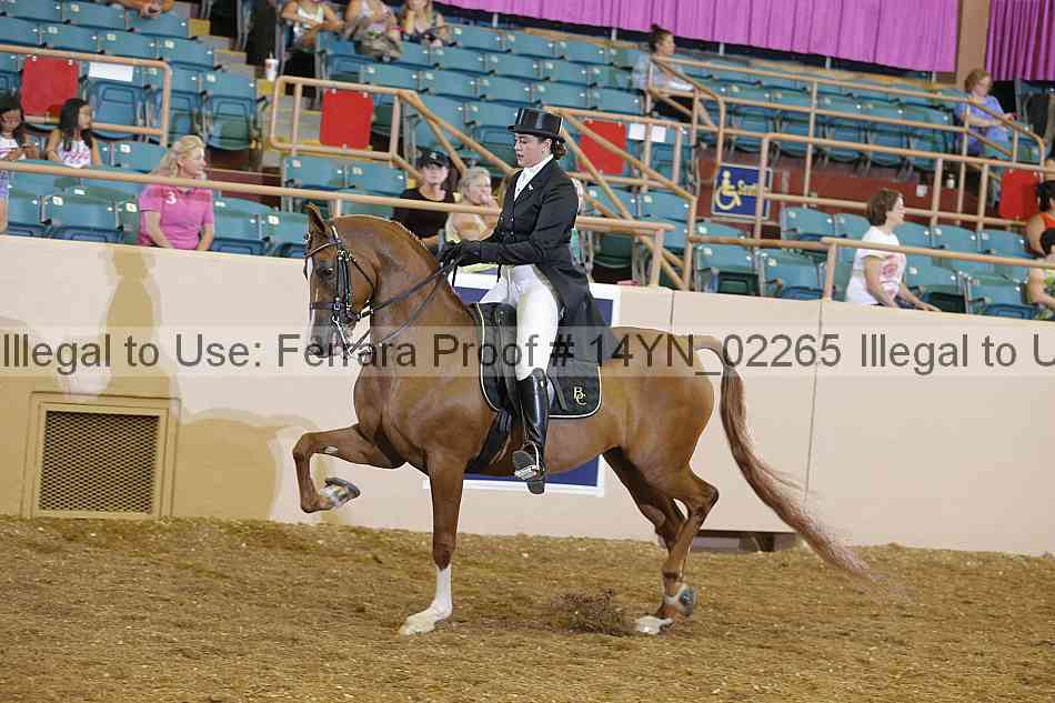 Proof 14yn_02265