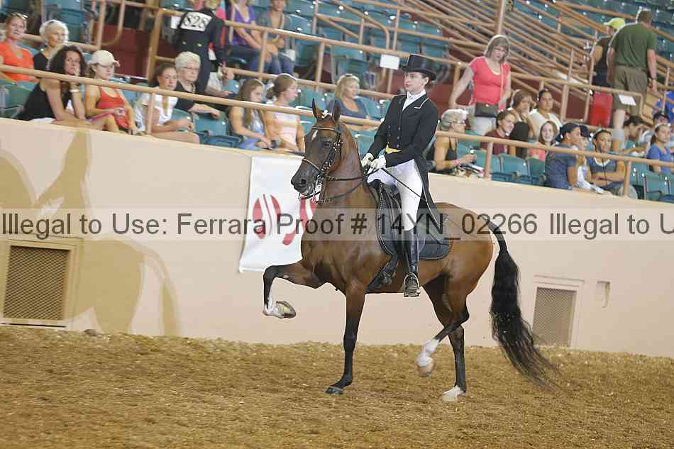 Proof 14yn_02266