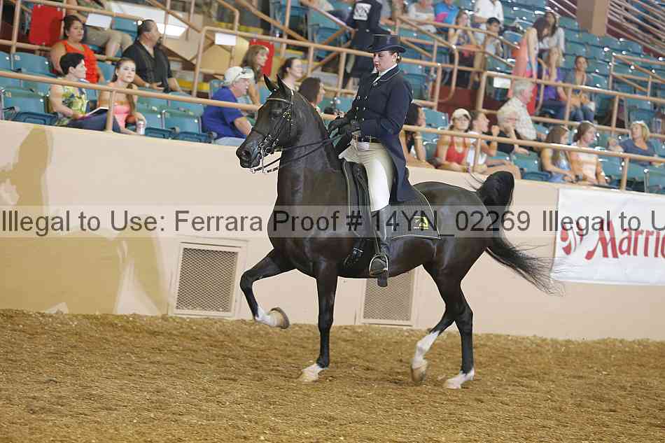Proof 14yn_02269