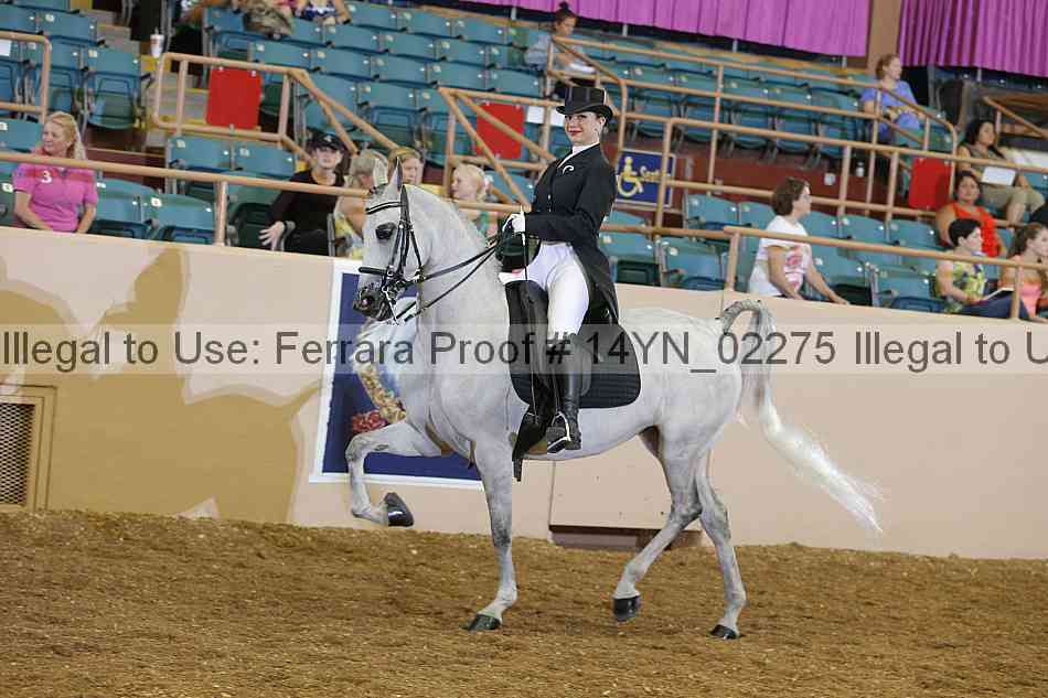 Proof 14yn_02275