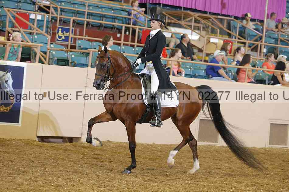 Proof 14yn_02277