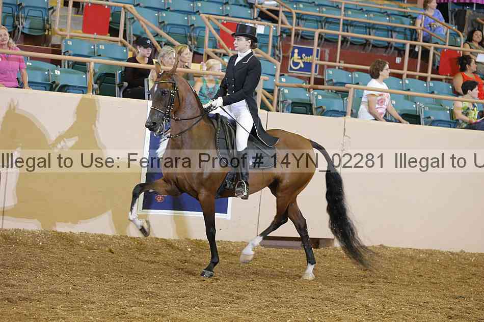 Proof 14yn_02281