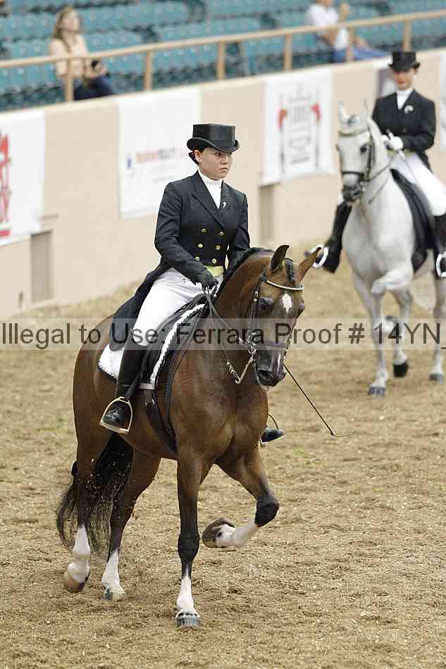 Proof 14yn_02284