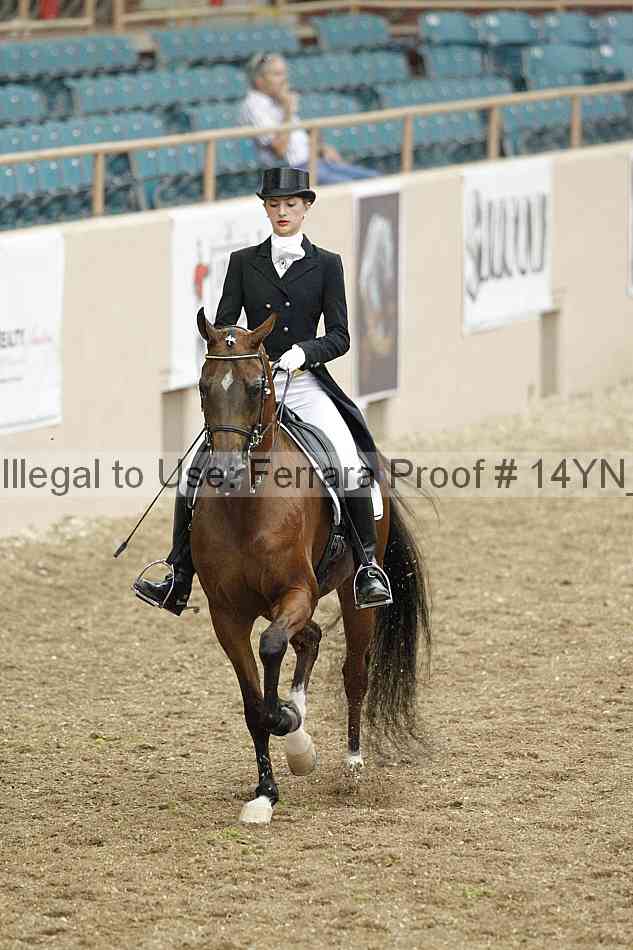 Proof 14yn_02289