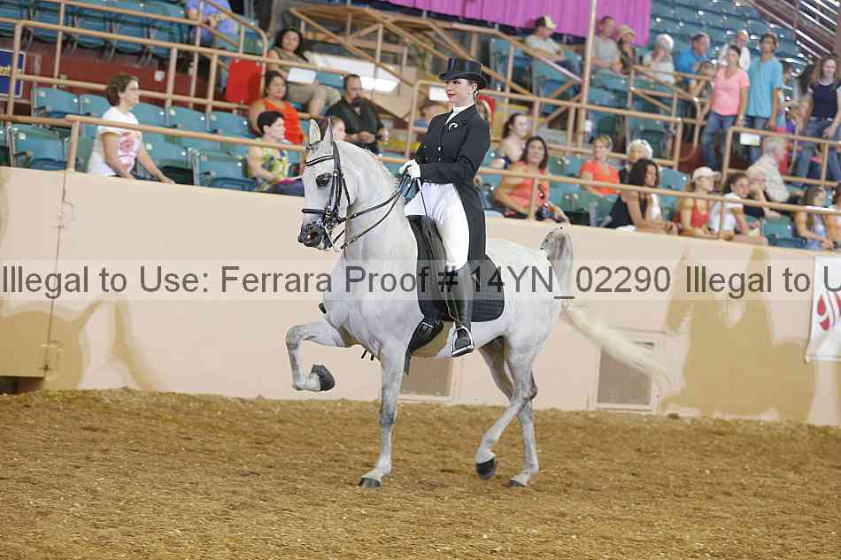 Proof 14yn_02290
