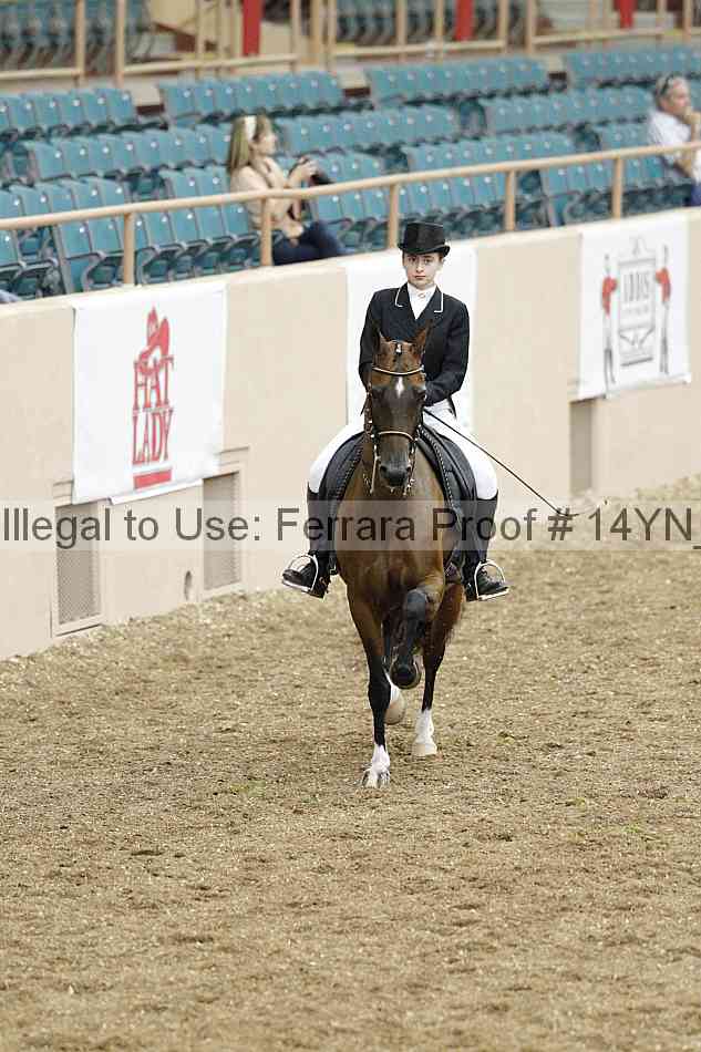 Proof 14yn_02293