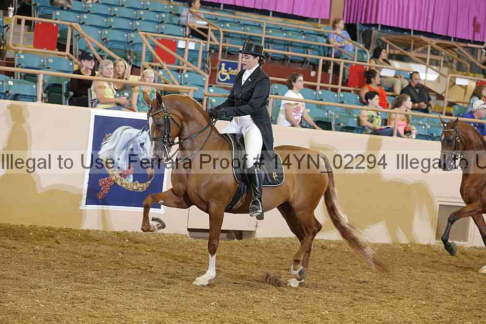 Proof 14yn_02294