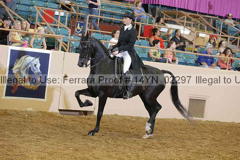 Proof 14yn_02297