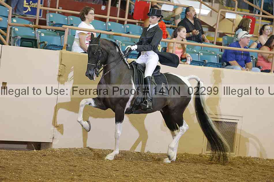 Proof 14yn_02299