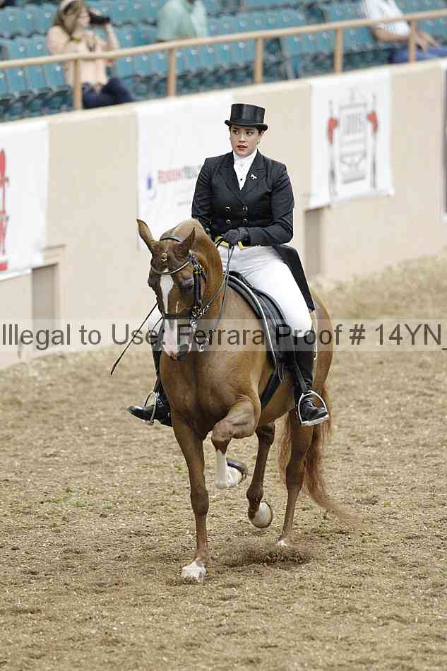 Proof 14yn_02305