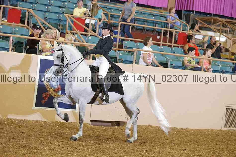 Proof 14yn_02307