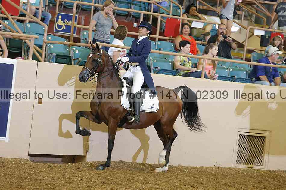 Proof 14yn_02309