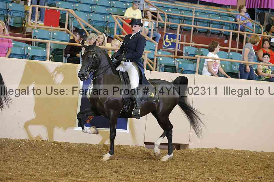 Proof 14yn_02311