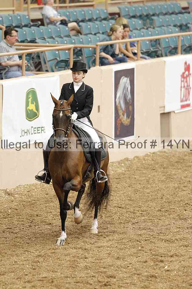 Proof 14yn_02312