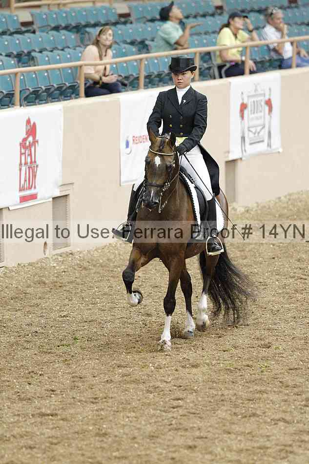 Proof 14yn_02319