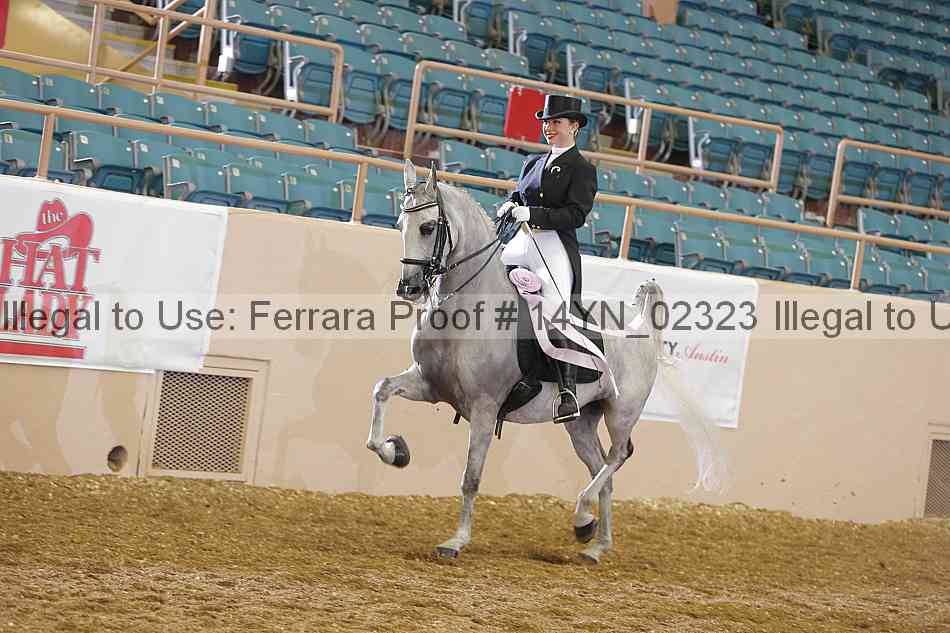 Proof 14yn_02323