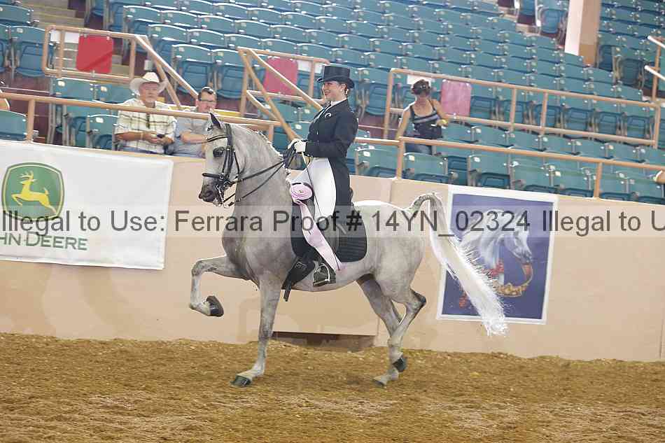 Proof 14yn_02324
