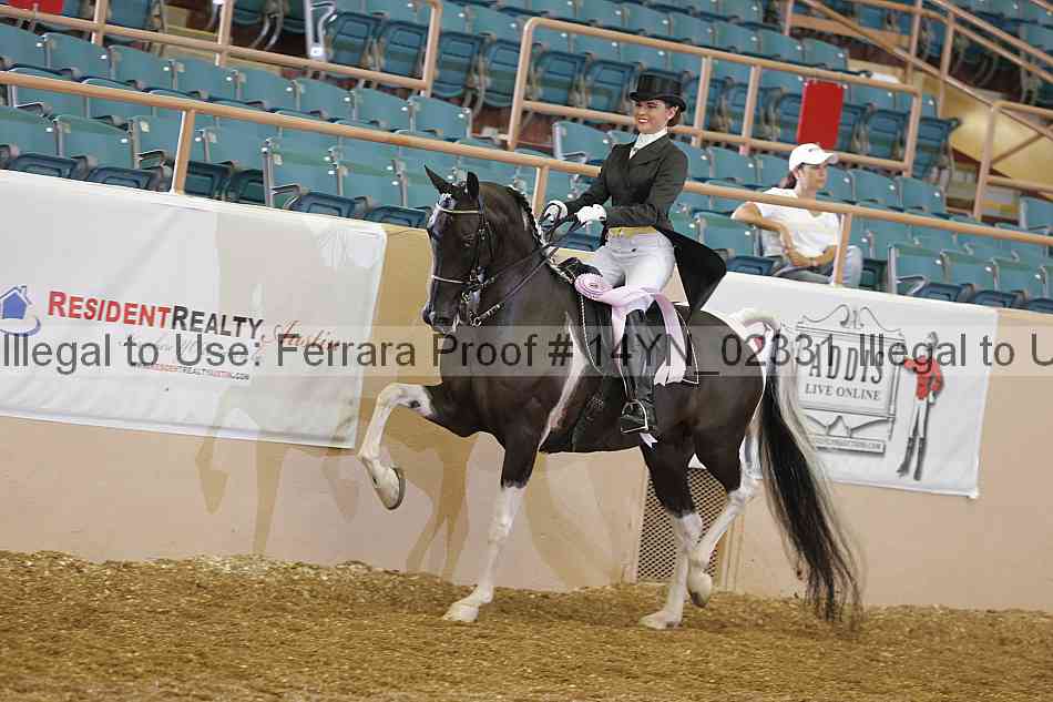 Proof 14yn_02331