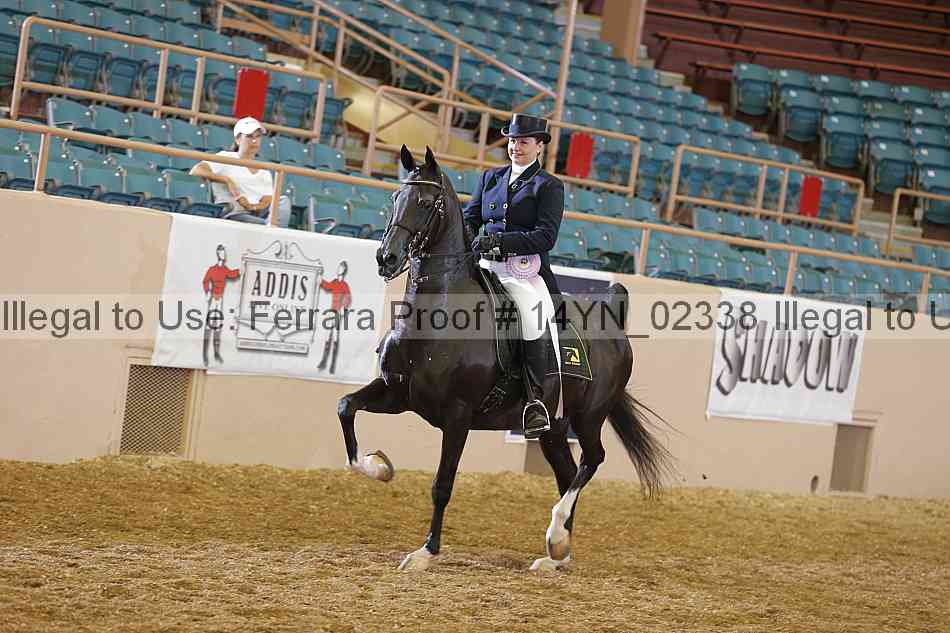 Proof 14yn_02338