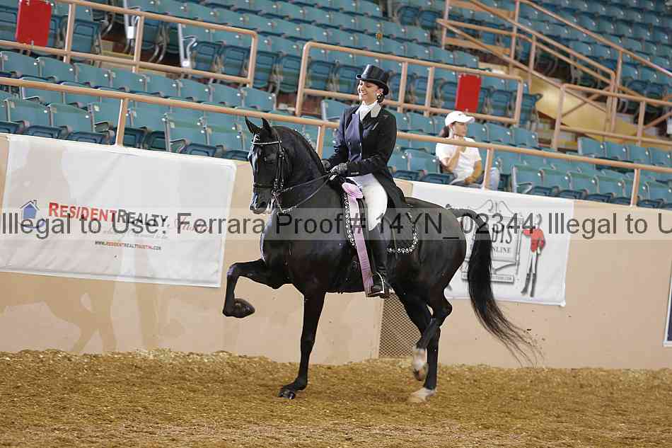 Proof 14yn_02344
