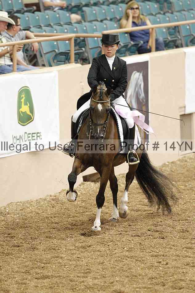 Proof 14yn_02351