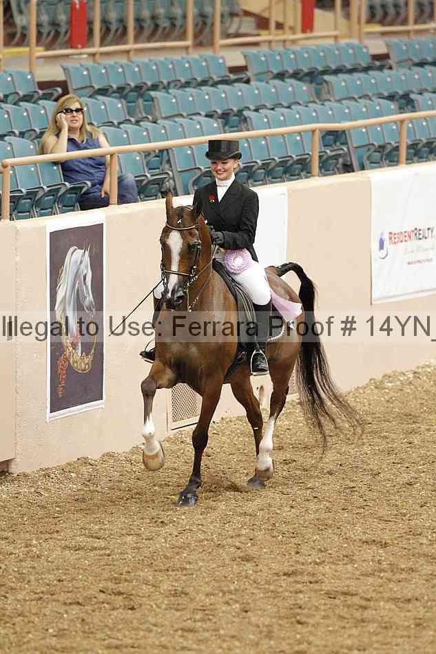 Proof 14yn_02355