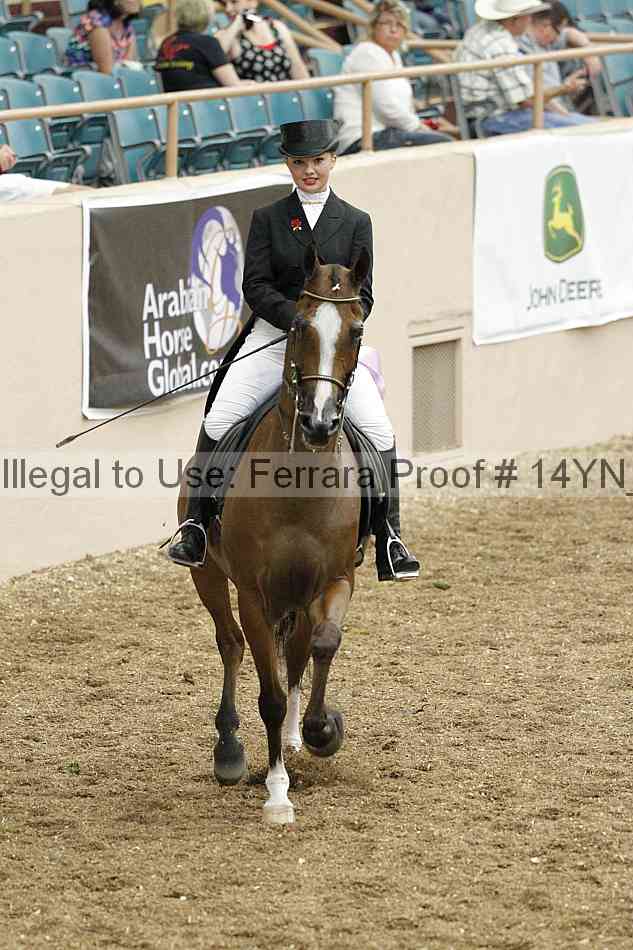 Proof 14yn_02356