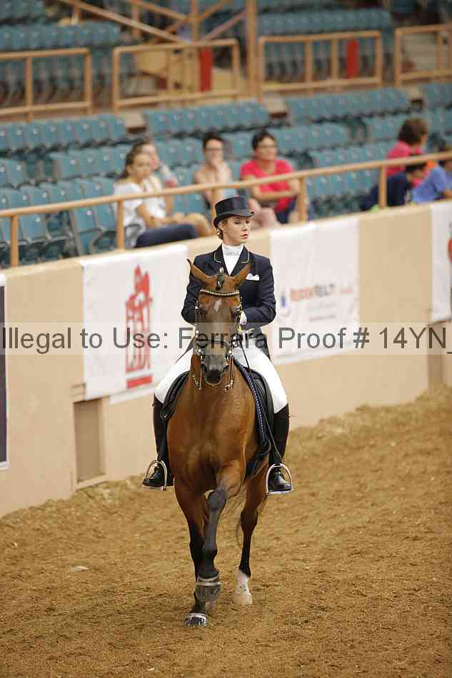 Proof 14yn_11829