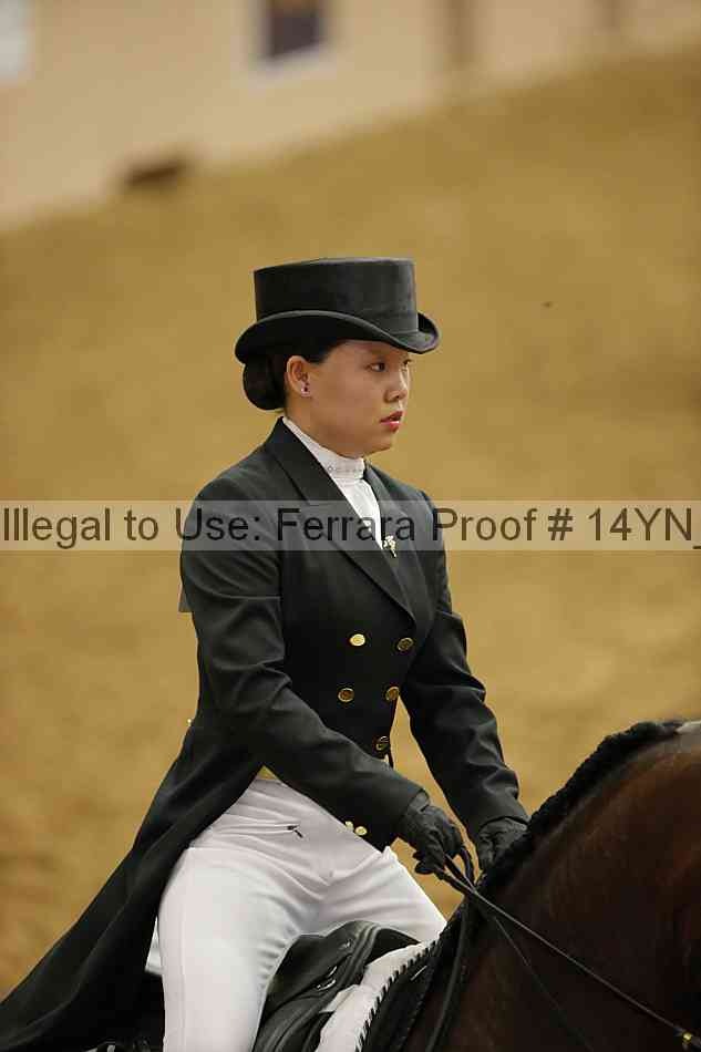 Proof 14yn_11856