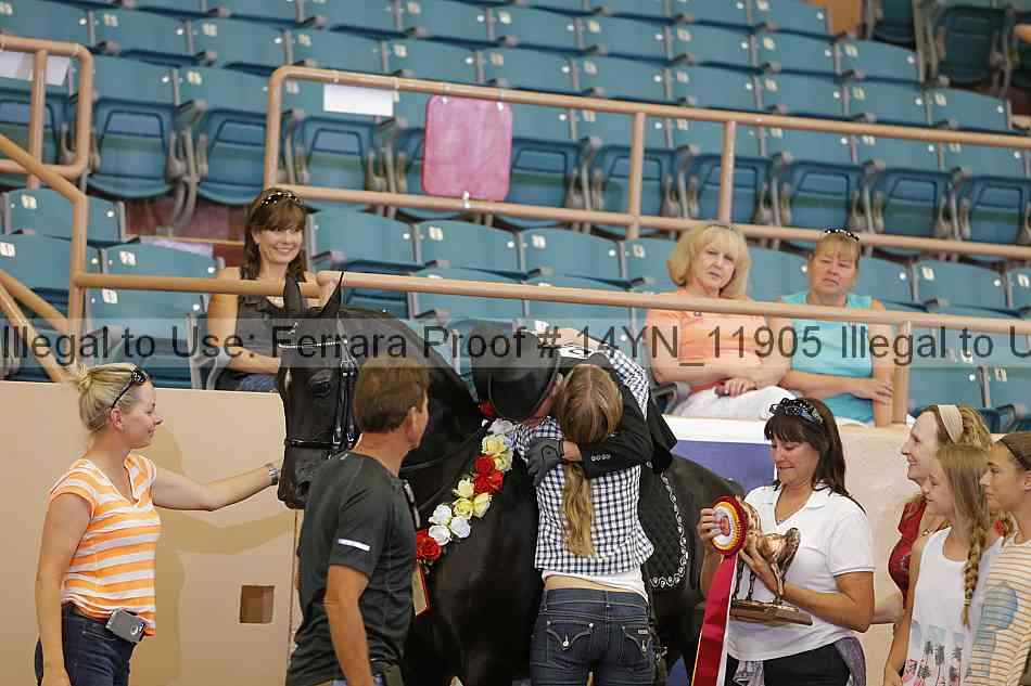 Proof 14yn_11905