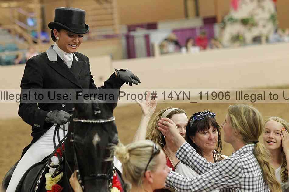 Proof 14yn_11906
