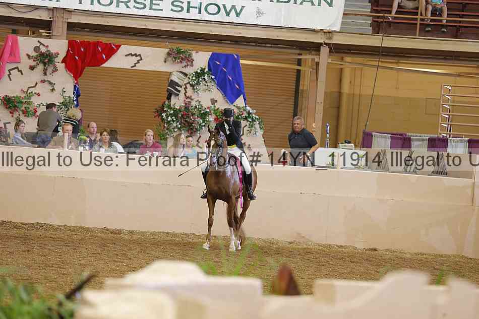 Proof 14yn_11914