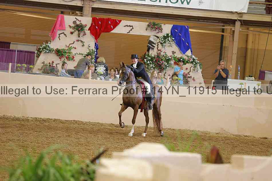 Proof 14yn_11915