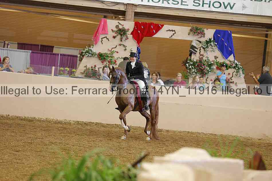 Proof 14yn_11916