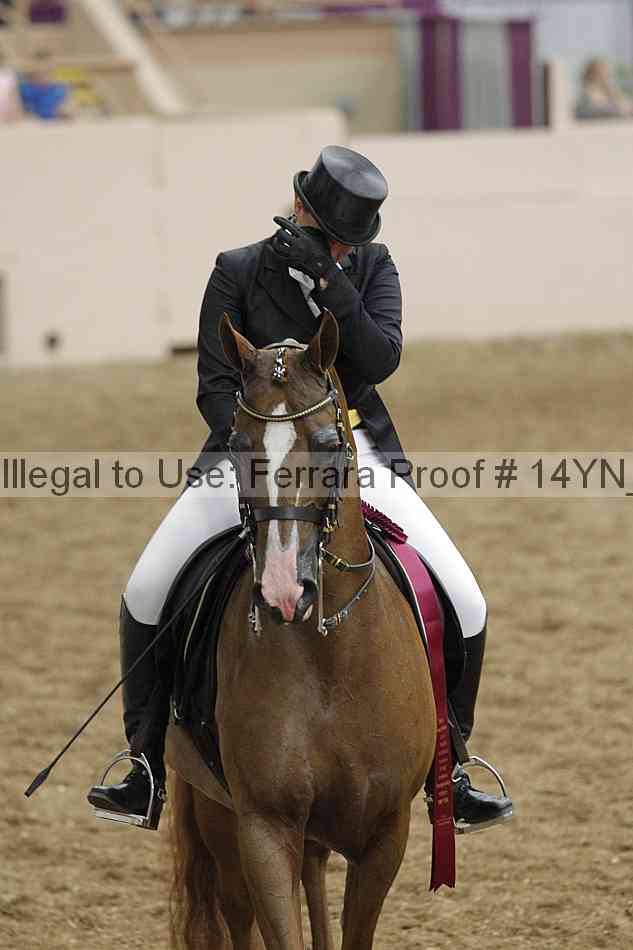 Proof 14yn_11921