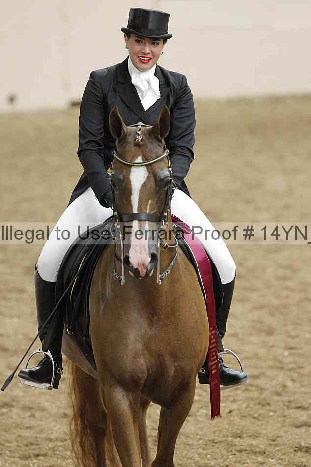 Proof 14yn_11922