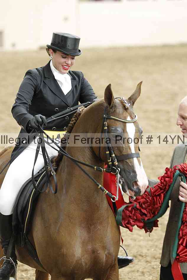 Proof 14yn_11924