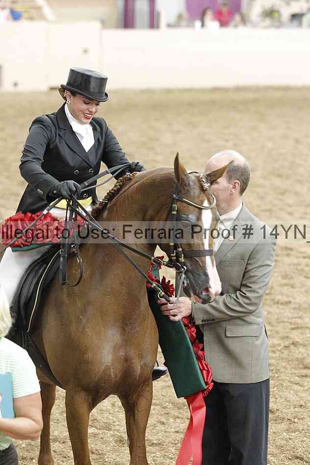 Proof 14yn_11926